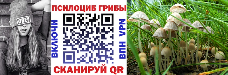 Псилоцибиновые грибы мицелий  Стрежевой 