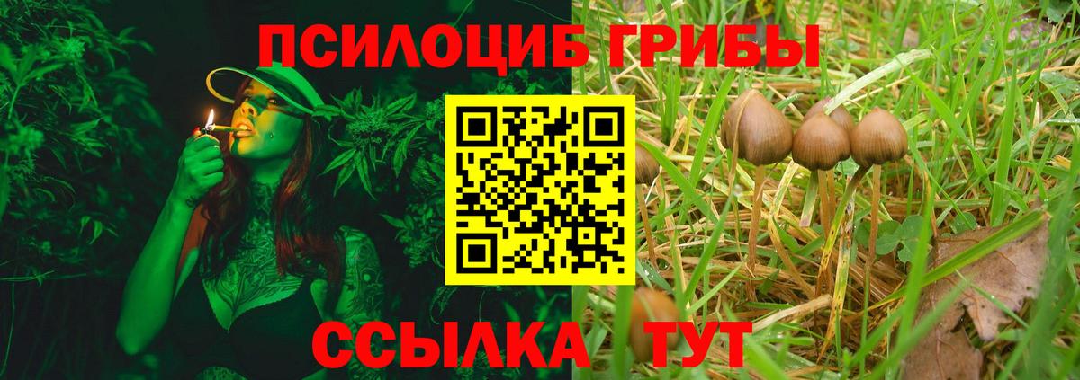 Псилоцибиновые грибы Magic Shrooms  Вход с VPN  Стрежевой  Псилоцибиновые грибы мицелий 
