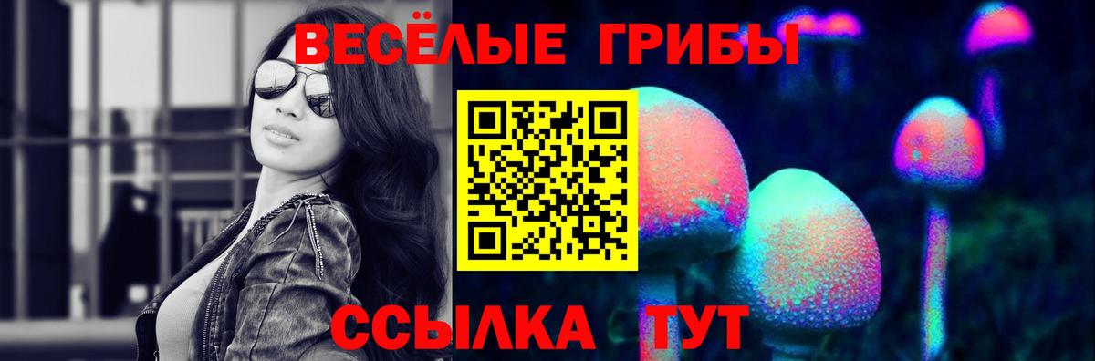 Галлюциногенные грибы мицелий Стрежевой